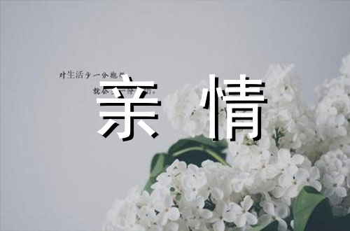 美丽的苹果700字