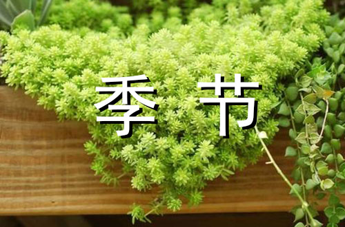 复苏的季节400字