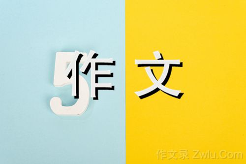 买菜风波作文800字