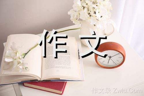 有一束光作文800字