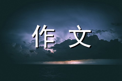 行走在书海中作文500字