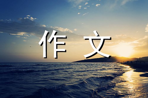 关于年的作文700字