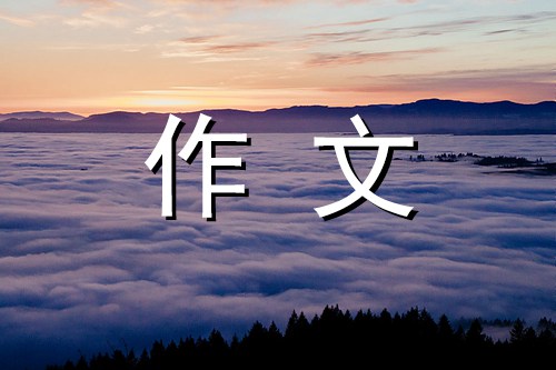 不被理解的爱作文600字