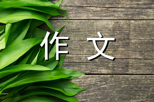 我们的英雄作文800字