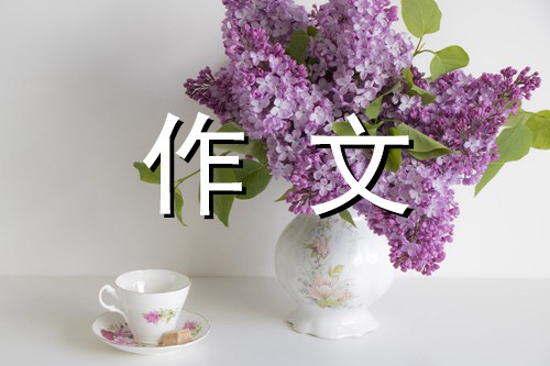 最美的痕迹作文600字