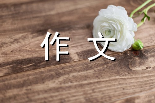 虚心使人进步作文600字