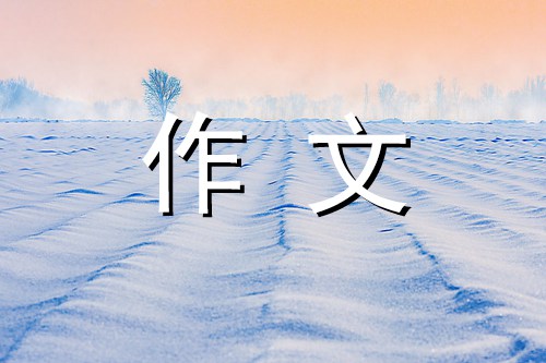 我的校园作文500字