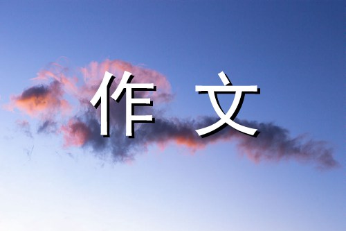 游乐场作文800字