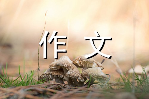 有趣的吹气球游戏作文600字