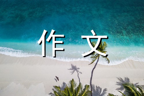 雨林探险之旅作文600字