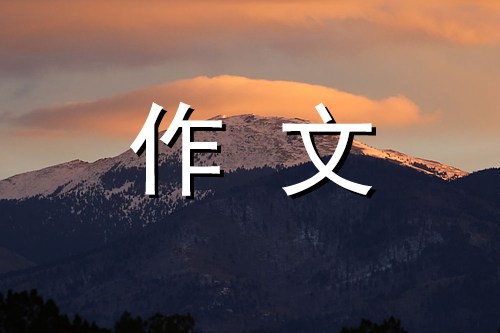 消逝的风景800字初中作文